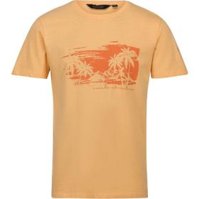 Regatta Cline VII Turuncu Erkek T-shirt