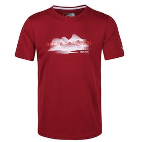 Regatta Fingal V Bordo Erkek T-Shirt
