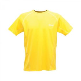 Regatta Kendrik Sarı Erkek T-Shirt