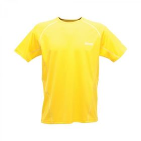 Regatta Kendrik Sarı Erkek T-Shirt