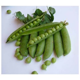 Rem 50 kg Seeds Bezelye Tohumu Tırabi Yaprak