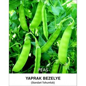 Rem 50 kg Seeds Bezelye Tohumu Tırabi Yaprak