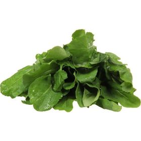 Rem Seeds 1 kg Toros İri Yaprak Roka Tohumu