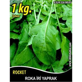 Rem Seeds 1 kg Toros İri Yaprak Roka Tohumu