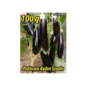 Rem Seeds 100gr Aydın Siyahı 55 Patlıcan Tohumu