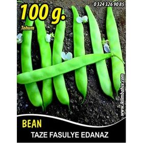 Rem Seeds 100gr Edanaz Oturak Tnk Fasulye Tohumu