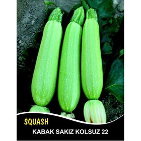 Rem Seeds 100gr Sakız Beyaz Dolmalık Kabak Tohumu