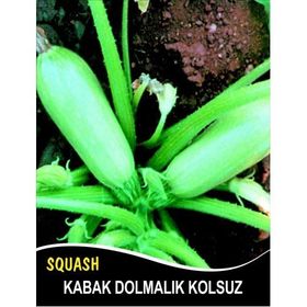 Rem Seeds 100gr Sakız Beyaz Dolmalık Kabak Tohumu