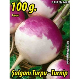Rem Seeds 100gr Şalgam Turpu Tohumu