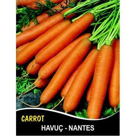 Rem Seeds 100gr Scarlet Nantes Havuç Tohumu