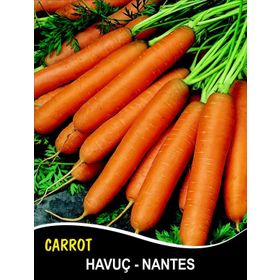 Rem Seeds 100gr Scarlet Nantes Havuç Tohumu