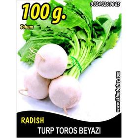 Rem Seeds 100gr Toros Beyazı Turp Tohumu