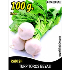 Rem Seeds 100gr Toros Beyazı Turp Tohumu