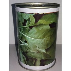 Rem Seeds 100gr Toros İri Yaprak Roka Tohumu