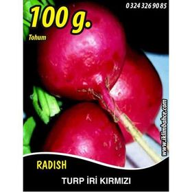 Rem Seeds 100gr Toros Kırmızısı Turp Tohumu
