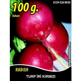 Rem Seeds 100gr Toros Kırmızısı Turp Tohumu