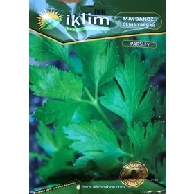 Rem Seeds 100gr Toros Maydanozu Tohumu