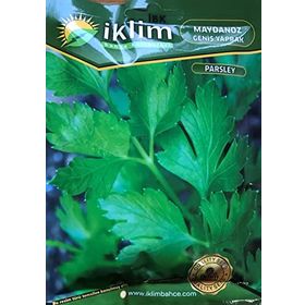 Rem Seeds 100gr Toros Maydanozu Tohumu