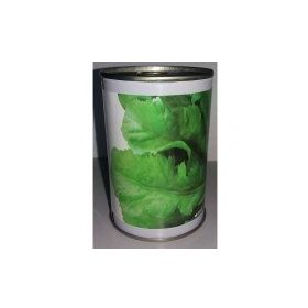 Rem Seeds 100gr Toros Yeşili Tere Tohumu