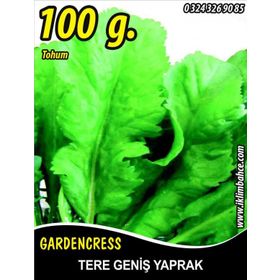 Rem Seeds 100gr Toros Yeşili Tere Tohumu
