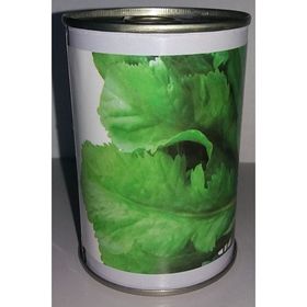 Rem Seeds 100gr Toros Yeşili Tere Tohumu