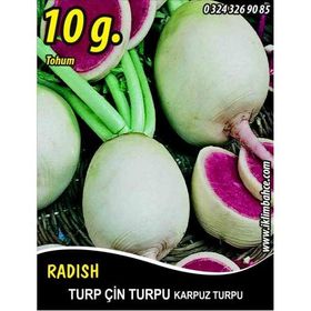 Rem Seeds 10gr Çin Turpu Turp Tohumu