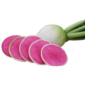Rem Seeds 10gr Çin Turpu Turp Tohumu