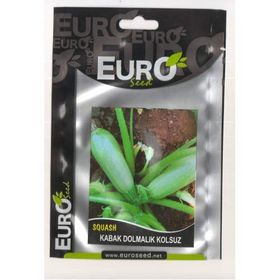 Rem Seeds 10gr Sakız Beyaz Dolmalık Kabak Tohumu