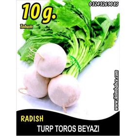 Rem Seeds 10gr Toros Beyazı Turp Tohumu