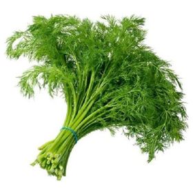 Rem Seeds 10gr Toros Meltemi Dereotu Tohumu