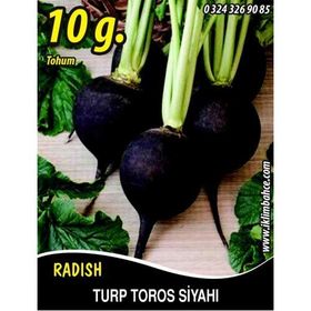 Rem Seeds 10gr Toros Siyahı Turp Tohumu