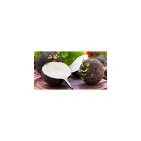 Rem Seeds 10gr Toros Siyahı Turp Tohumu