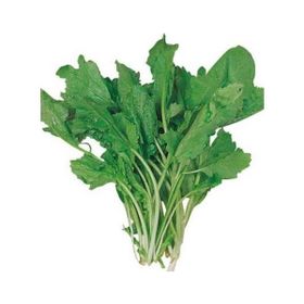 Rem Seeds 10gr Toros Yeşili Tere Tohumu