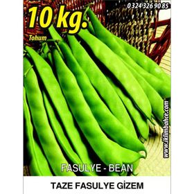 Rem Seeds 10kg Gizem Oturak Fasulye Tohumu