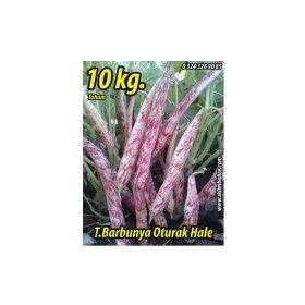 Rem Seeds 10kg Oturak Hale Barbunya Tohumu