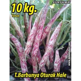 Rem Seeds 10kg Oturak Hale Barbunya Tohumu