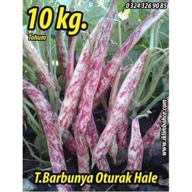 Rem Seeds 10kg Oturak Hale Barbunya Tohumu