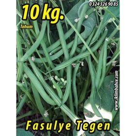 Rem Seeds 10kg Tegen Oturak Fasulye Tohumu