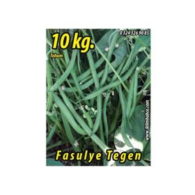 Rem Seeds 10kg Tegen Oturak Fasulye Tohumu