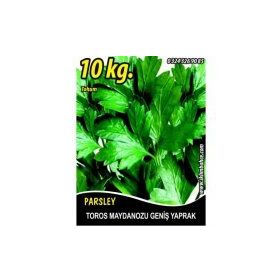 Rem Seeds 10kg Toros Maydanozu Tohumu
