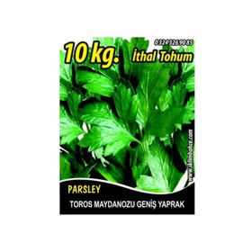 Rem Seeds 10kg Toros Maydanozu Tohumu