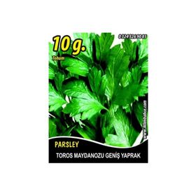 Rem Seeds 10kg Toros Maydanozu Tohumu