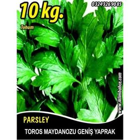 Rem Seeds 10kg Toros Maydanozu Tohumu