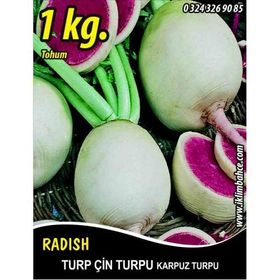 Rem Seeds 1kg Çin Turpu Turp Tohumu