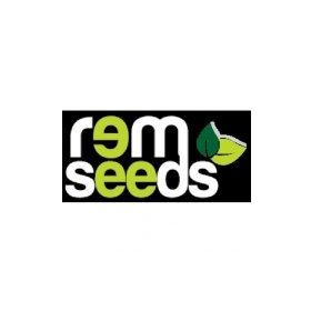 Rem Seeds 1kg Fesleğen Yeşil Renk Reyhan Tohumu
