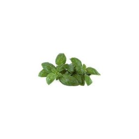 Rem Seeds 1kg Fesleğen Yeşil Renk Reyhan Tohumu