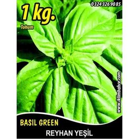 Rem Seeds 1kg Fesleğen Yeşil Renk Reyhan Tohumu