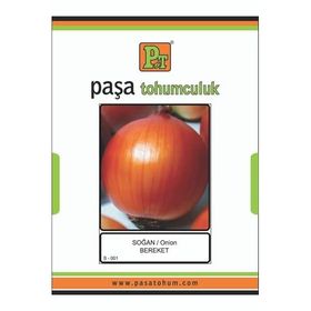 Rem Seeds 1kg Gence Soğan Tohumu