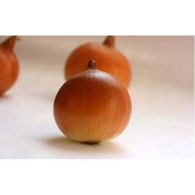 Rem Seeds 1kg Gence Soğan Tohumu