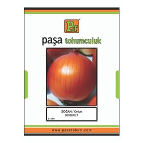 Rem Seeds 1kg Gence Soğan Tohumu